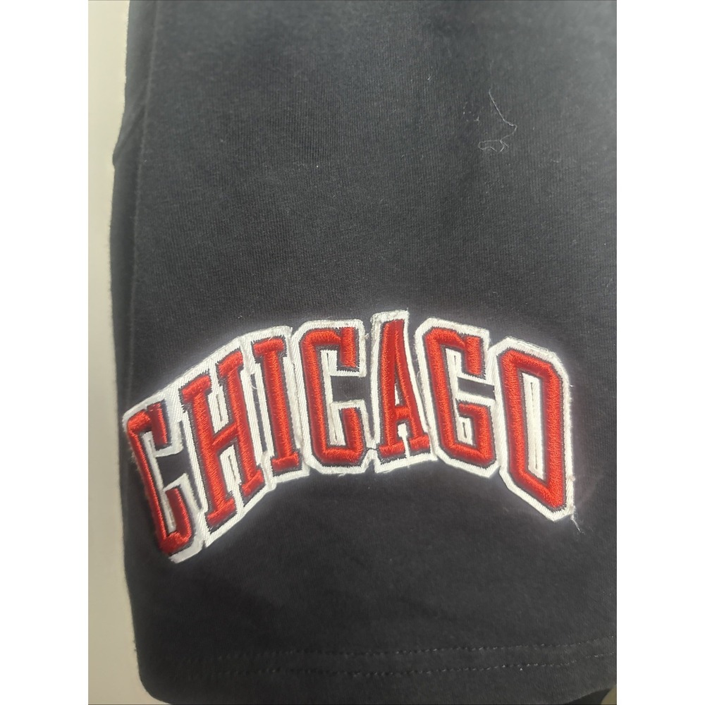 Chicago Bulls Paisly Shirt NBA Embroidered Urban Wear - Picture 3 of 6